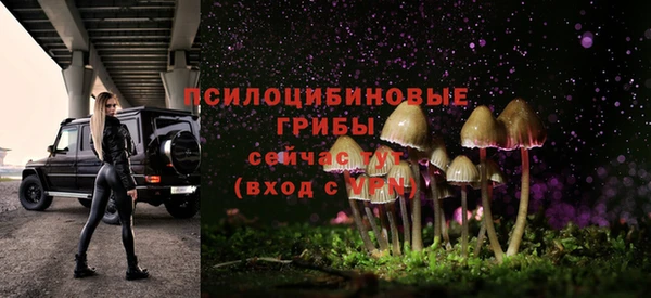 мдпв Балабаново