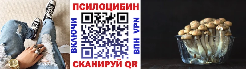 наркотики  Михайловск  Галлюциногенные грибы мицелий 